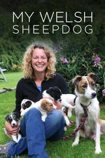 Kate Humble: My Welsh Sheepdog's Tale
