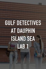 Gulf Detectives at Dauphin Island Sea Lab 1